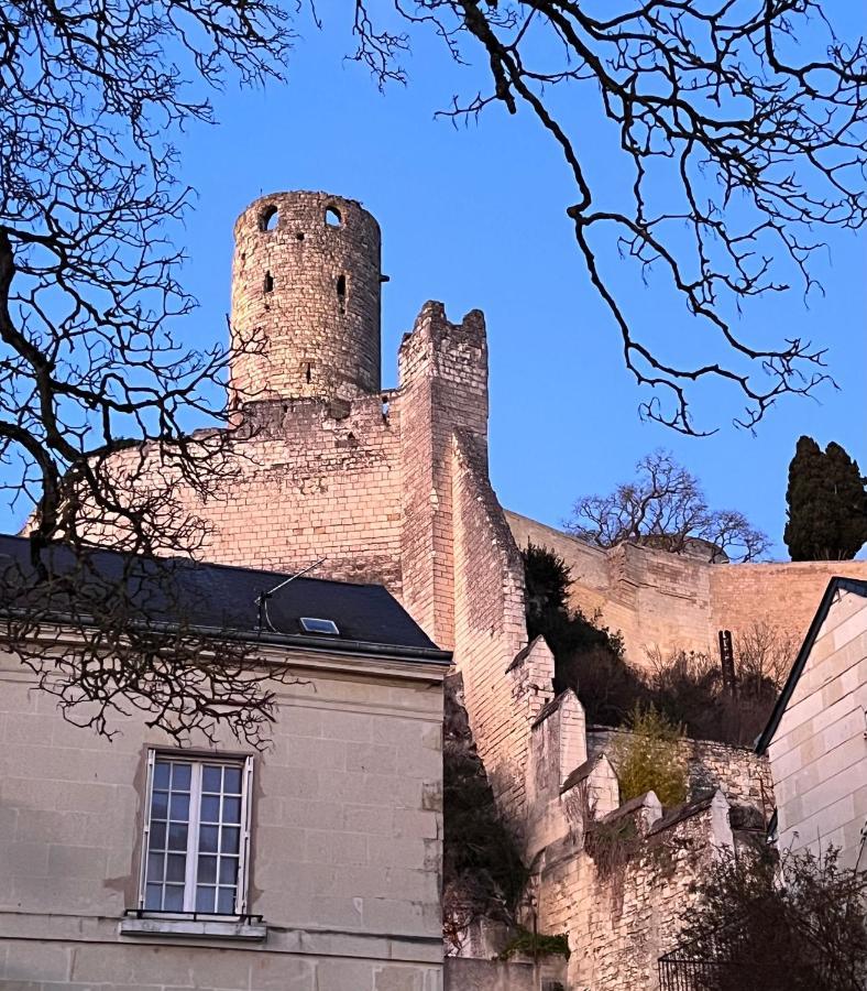Le Rabelais, Superbe Appartement En Duplex, Proche Forteresse Et Monument Historique شينون المظهر الخارجي الصورة